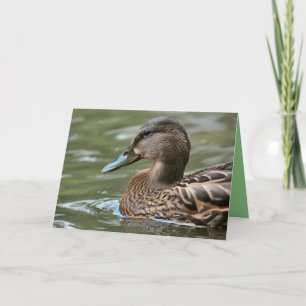 Carte Canard