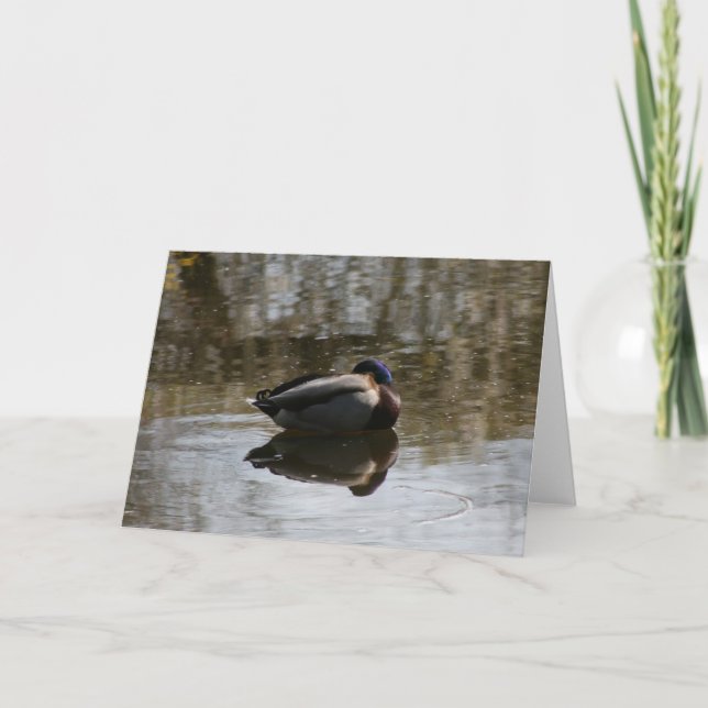 Carte Canard (Devant)