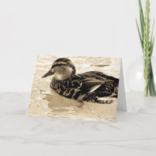 Carte Canard à Sepia