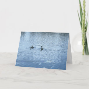 Carte Canard Avec Colliers Dans Un Bleu De Lac Pond