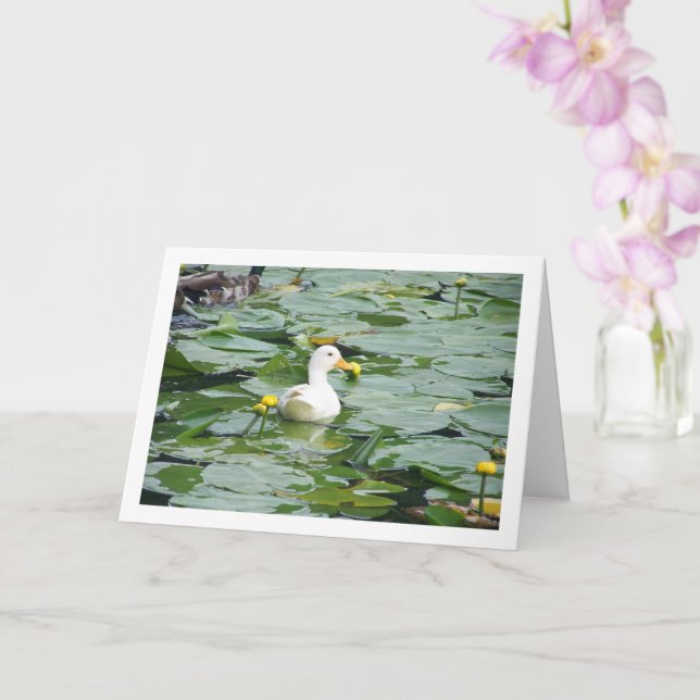 Carte Canard blanc dans un bassin de nénuphars (Orchidée)
