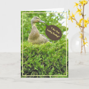 CARTE CANARD CHANCEUX/SUR UN HAIE/J'AI DE LA CHANCE DE T