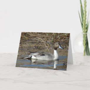 Carte Canard colvert B5