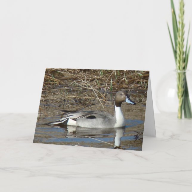 Carte Canard colvert B5 (Devant)