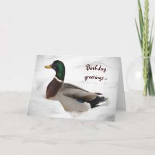 Carte Canard dans l'anniversaire de neige