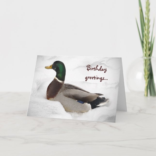 Carte Canard dans l'anniversaire de neige (Devant)