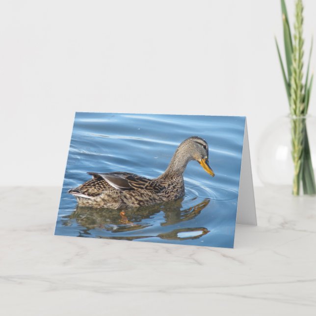 Carte Canard dans l'eau (Devant)