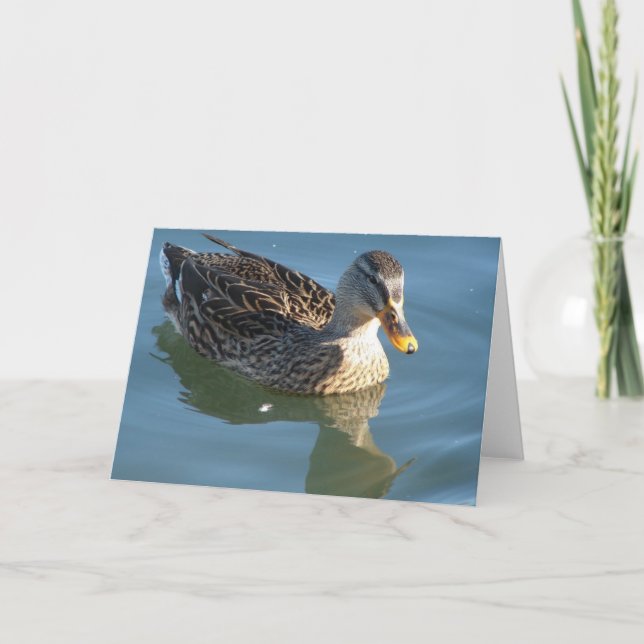 Carte Canard dans l'eau (Devant)