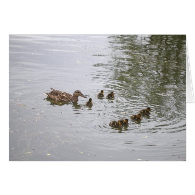 Carte Canard et canard (Devant horizontal)