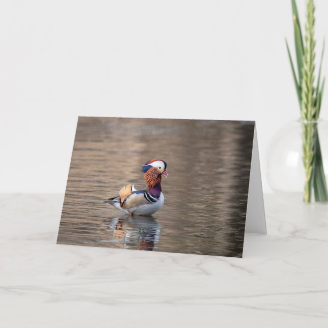 Carte Canard mandarin (Devant)
