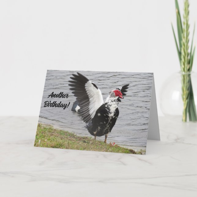 Carte Canard Muscovy Personnalisé Un autre anniversaire! (Devant)