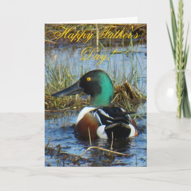 Carte Canard souchet B25 (Devant)