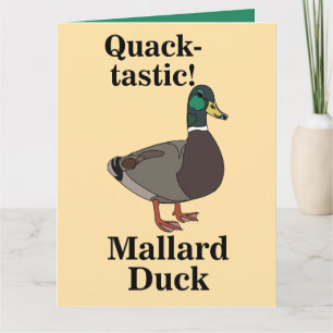 Carte Canard Super-Canquard Malart