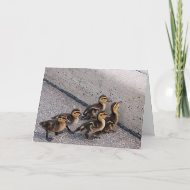 Carte canards (Devant)