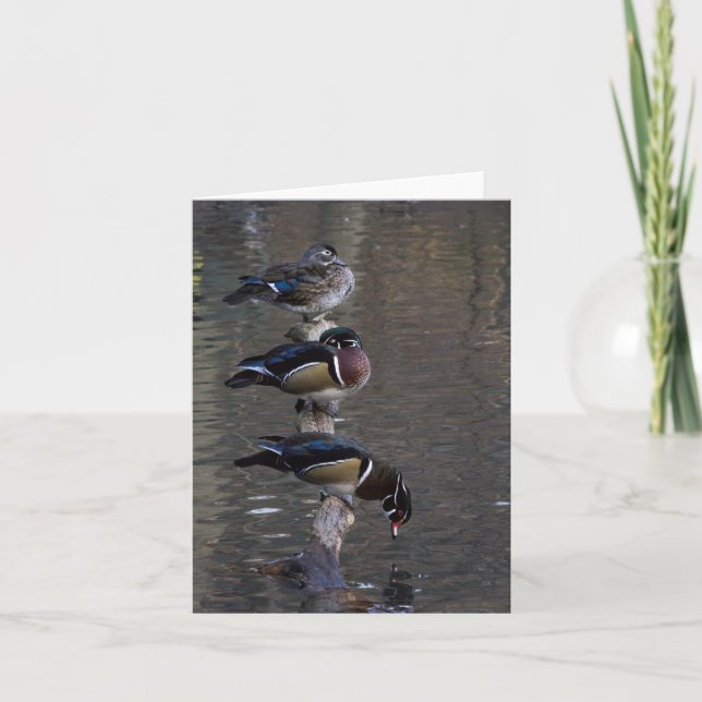 Carte Canards à bois sur Branche (Devant)