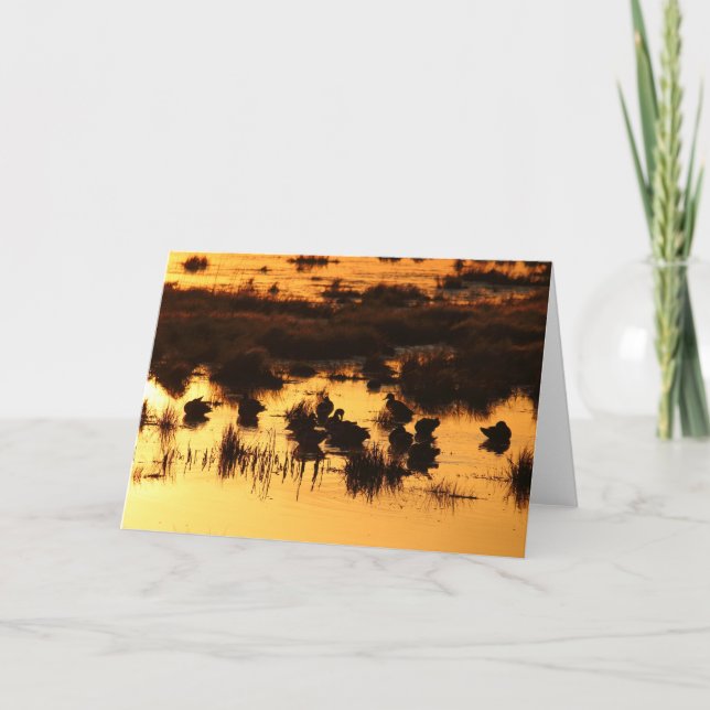 Carte Canards à Daybreak (Devant)