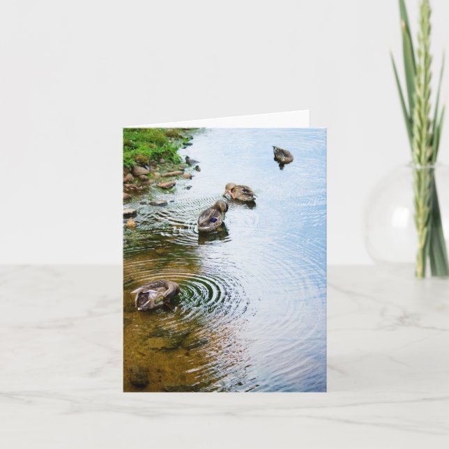 Carte Canards adultes 2 (Devant)