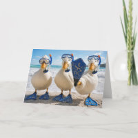 Canards blancs d'anniversaire avec équipement de s