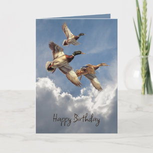 Carte Canards Mallard Anniversaire Dans Le Ciel