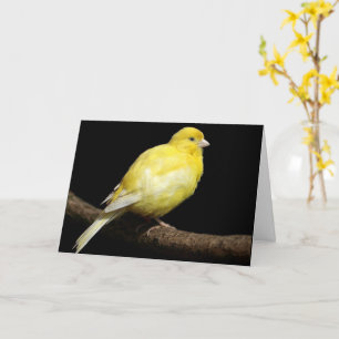 Carte Canari jaune personnalisé