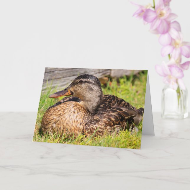 Carte Cancer Encouragement Canard-colard (Orchidée)