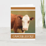 Carte Cancer Support Funny Cow<br><div class="desc">Envoyez quelques rires à un patient atteint d'un cancer avec cette drôle de carte de vache. L'Humour aide vraiment,  même pour un instant ou deux. Personnalisez le message pour créer votre propre salutation spéciale. Merci de chercher ! Photo ©Christine Greenspan</div>