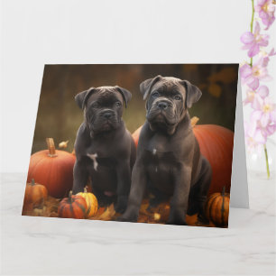 Carte Cane Corso Chiot Automne Citrouille de plaisir
