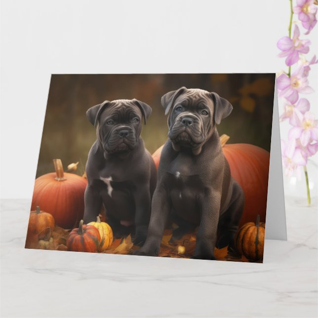 Carte Cane Corso Chiot Automne Citrouille de plaisir (Orchidée)