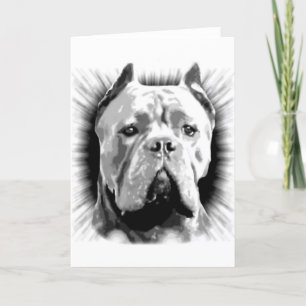 Carte Cane Corso Dog