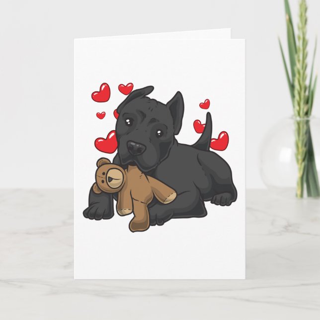 Carte Cane Corso Italiano avec animal en peluche (Devant)