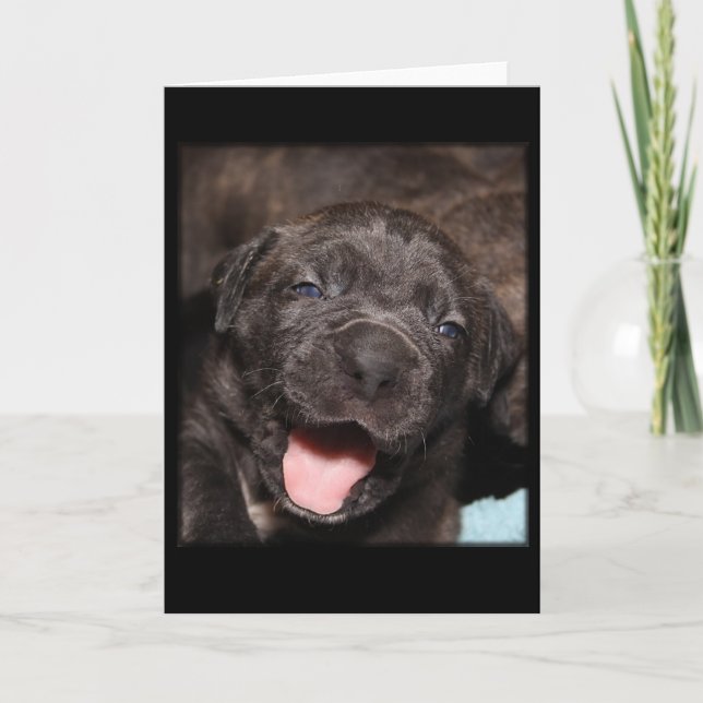 Carte Cane Corso Mastiff Puppy (Devant)