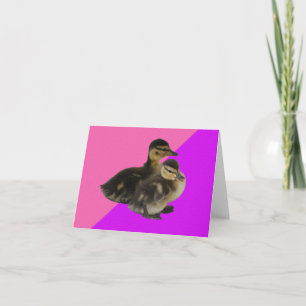 Carte Canetons sur framboise rose et sorbet violet