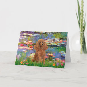 Carte Caniche (Abricot 10) - Lys 2