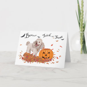 Carte Caniche Halloween