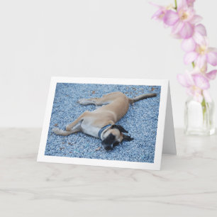 Carte Canine de cur à bouche noire souriante sur Gravel