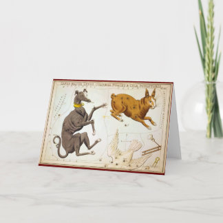 Carte Canis Major, Lepus, Columba Noachi & Cela Sculptor