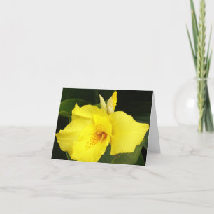 Carte Canne jaune