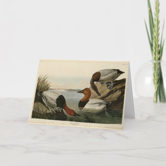 Carte Canvas Duck d'Audubon's Birds of America (Devant)