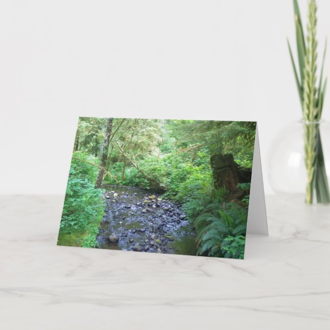 Carte Cape Creek, Cape Perpetua, Oregon (Devant)