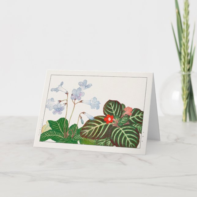 Carte Cape primrose, Violet de flamme par Tanigami Konan (Devant)