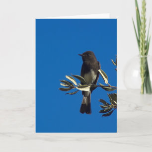 Carte Capteur de vol perché