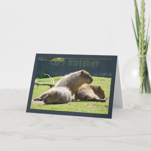 Carte Capy Birthday - Capybara Birthday Grey Card (Devant)