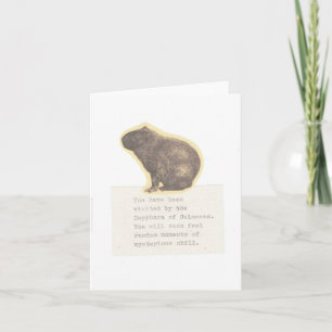 Carte Capybara De Calme
