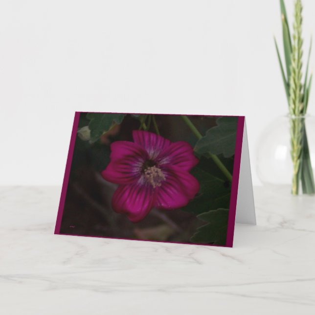 Carte Card Flower (Devant)