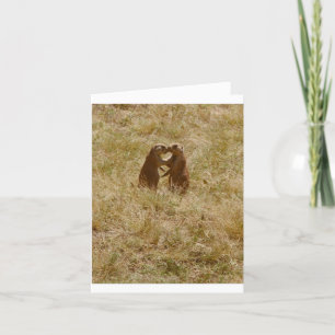 Carte Card has cute photo of 2 prairie dogs 'chatting'
