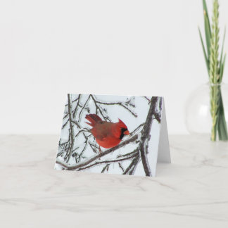 Carte Cardinal