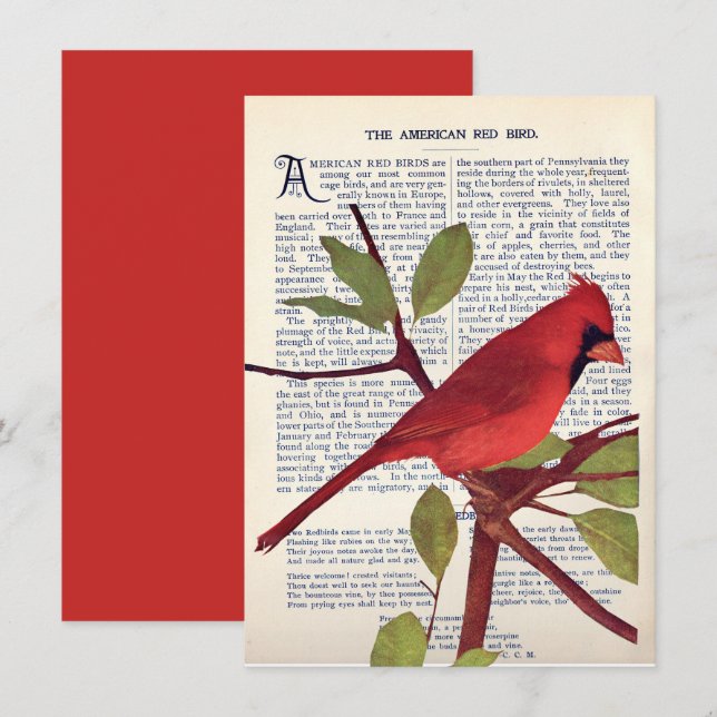 Carte Cardinal (Devant / Derrière)