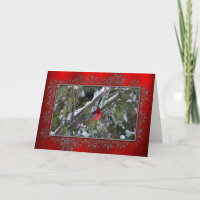 Cardinal Birthday Card