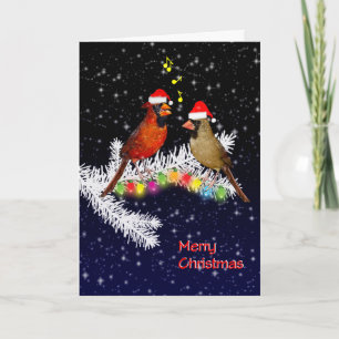 Carte Cardinal Christmas Card (entrez votre propre messa