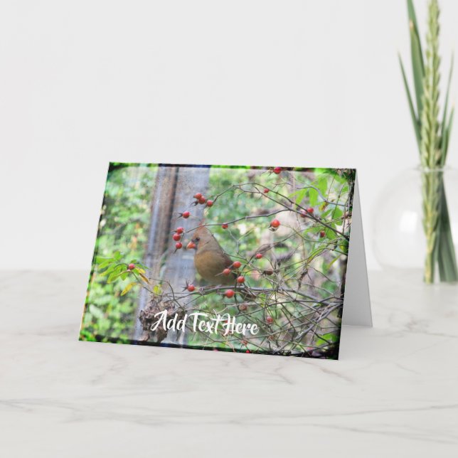 Carte Cardinal dans les branches de baies en hiver (Devant)